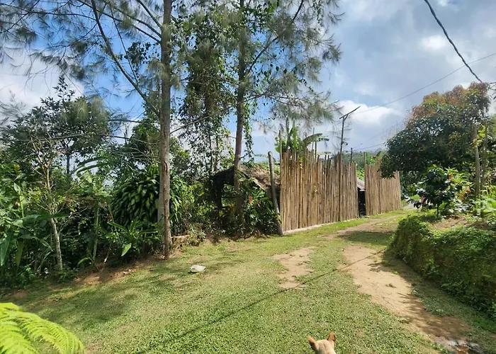 Kanginan Orman Evi *