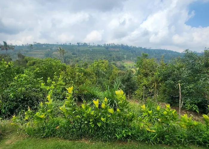 Kanginan Plaga