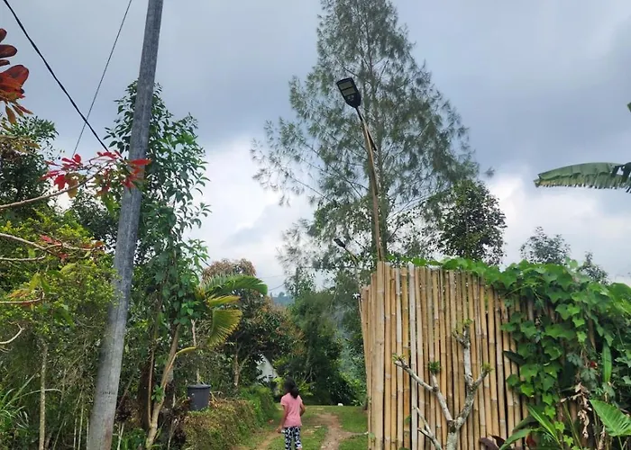 Kanginan Plaga