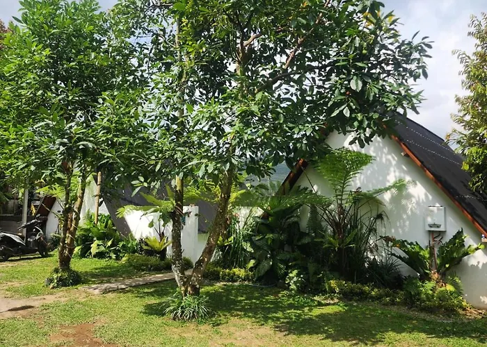 Orman Evi Kanginan Plaga