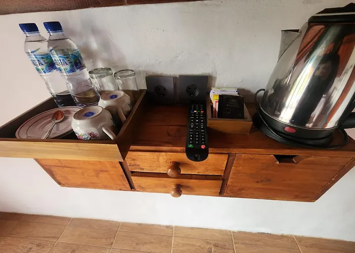 Kanginan Orman Evi Plaga